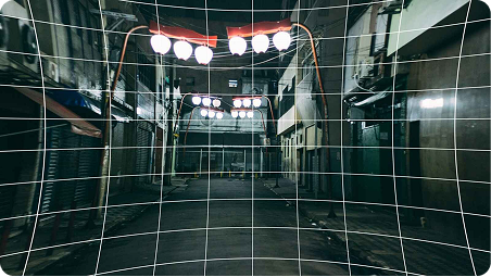 Lens Distortion